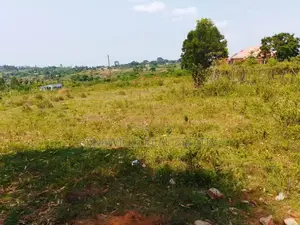 Plot for Sale 50 by 100ft in a Highly Developing Estate Kasanje Bulumb