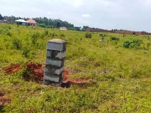 Land for Sale in Entebbe Buwaya- Sazi 50 by 100 Titled in an Estate