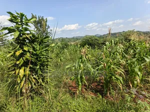 5.5acres of Commercial Land on Sale in Mukuunyu Town Council