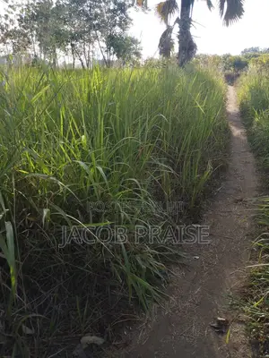 Piece of Land