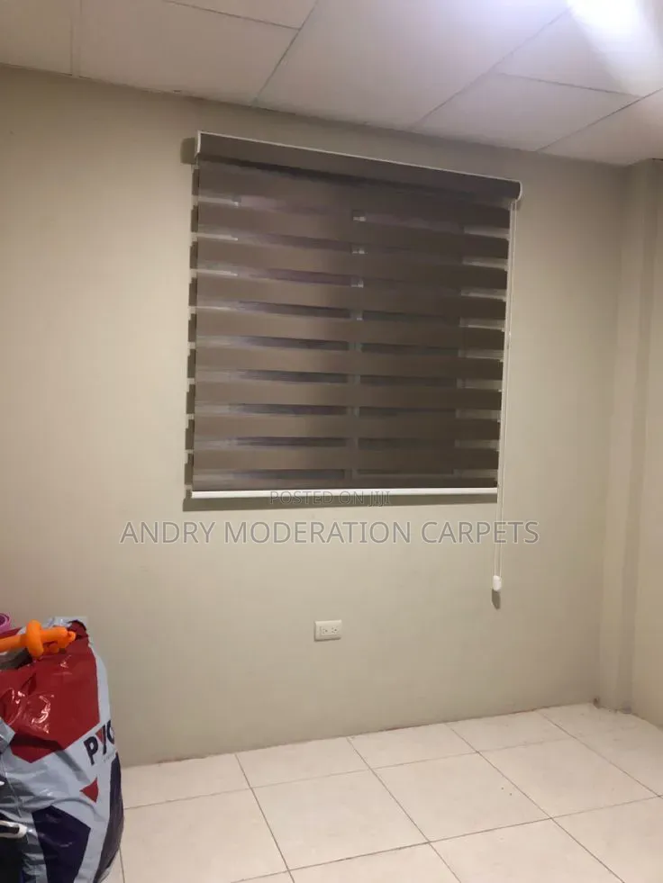 Window Zebra Blind Curtains