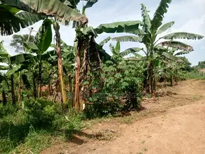 Quick Sale Plots for Sale – Matugga Kitungwa