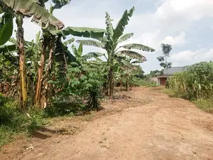 Quick Sale Plots for Sale – Matugga Kitungwa