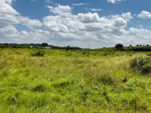 Half Acre for Sale in Nyakisharara Mbarara City