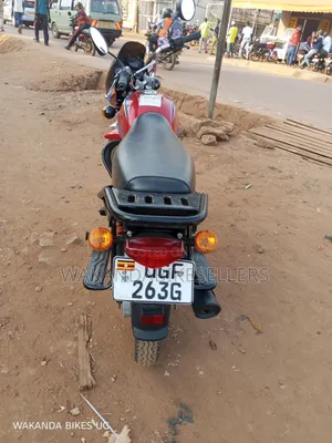 Bajaj Boxer 125 2024 Red