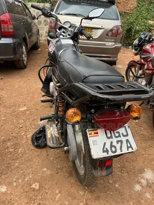 Bajaj CT 125X 2024 Red