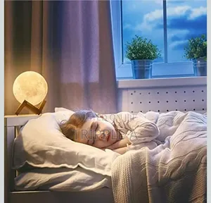 2 in 1 Moon Lamp and Humidifier