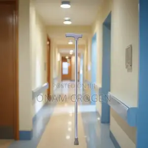 Walking Stick