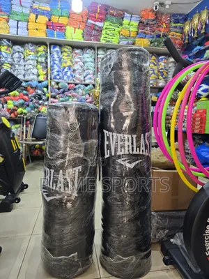 Everlast Punching Bag Filled One