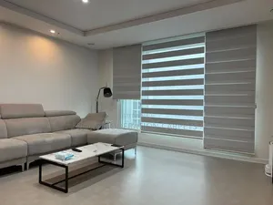 Home Zebra Blind Curtains