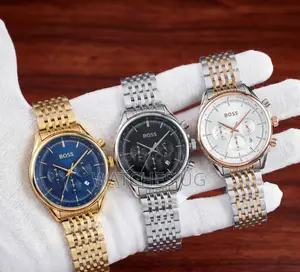 Collection of Boss Watches