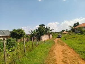 50*100 in Matuga