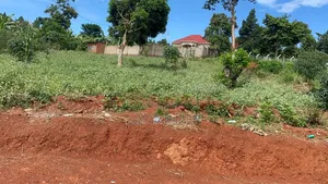 3 Prime Plots for Sale in Mukono Kisoga Town Titled
