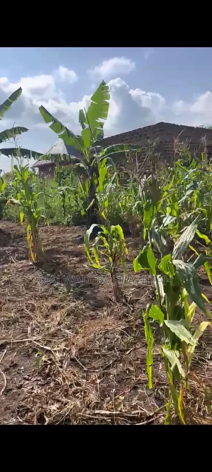 Plot on Sale