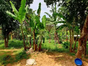 Buwate Plot for Sale