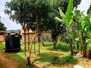 Nakawuka Jungo Acres for Sale