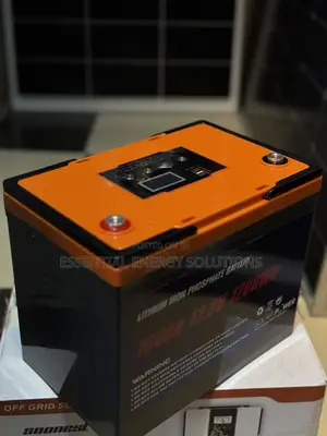 100ah 12v Lithium Phosphate Battery