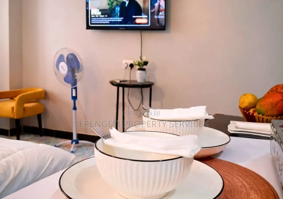 Furnished Studio Airbnb Munyonyo