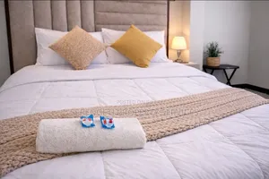 Furnished Studio Airbnb Munyonyo
