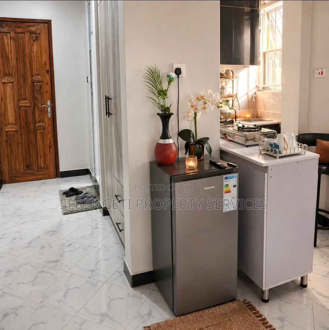 Furnished Studio Airbnb Munyonyo