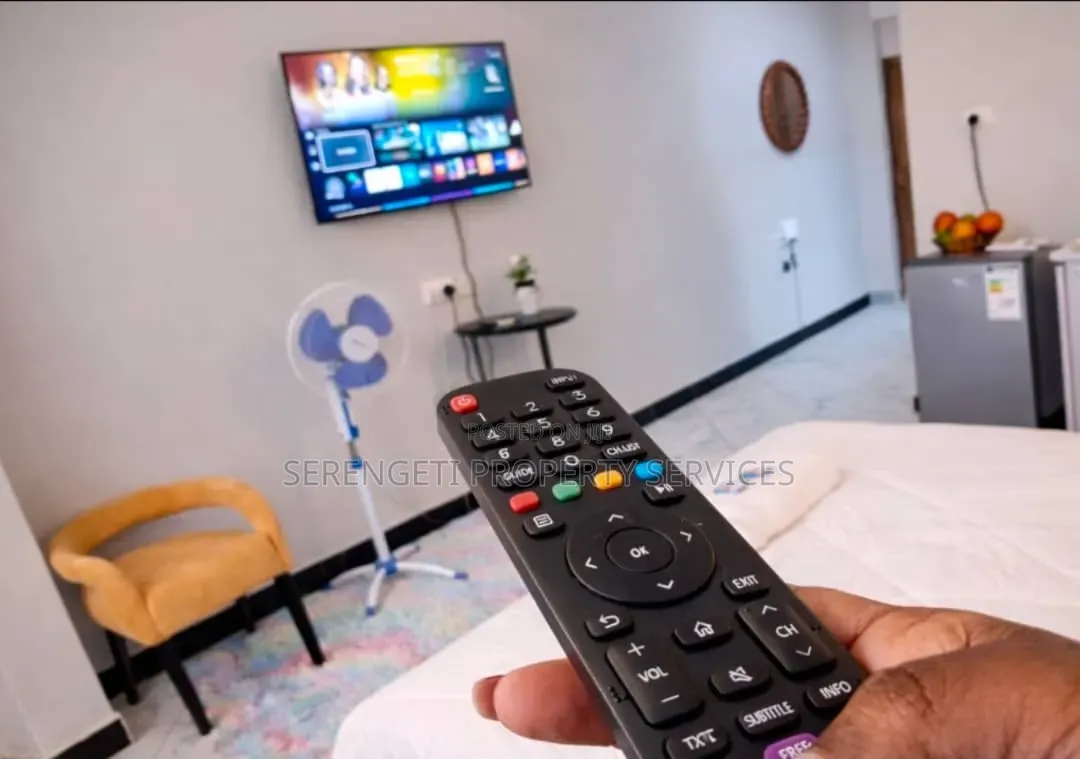 Furnished Studio Airbnb Munyonyo