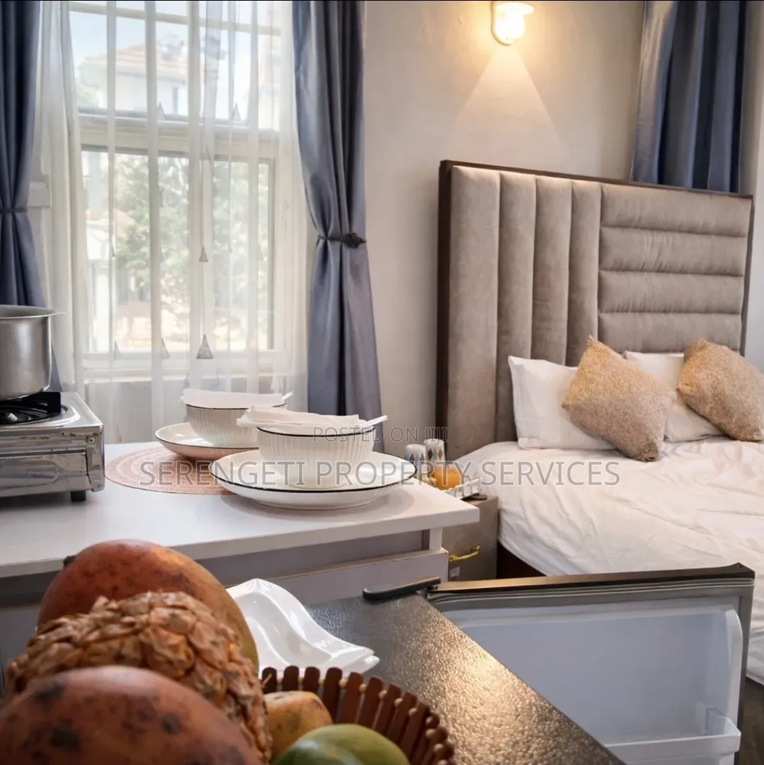 Furnished Studio Airbnb Munyonyo
