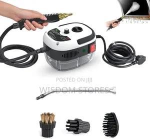 High Pressure Portable Steam Cleaner