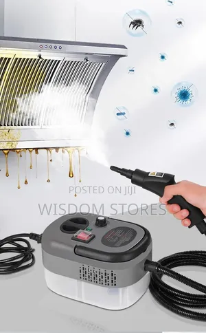 High Pressure Portable Steam Cleaner