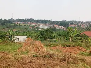 Buzibwera Kyikusa Farmland Estate
