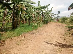 Buzibwera Nansaka Farmland