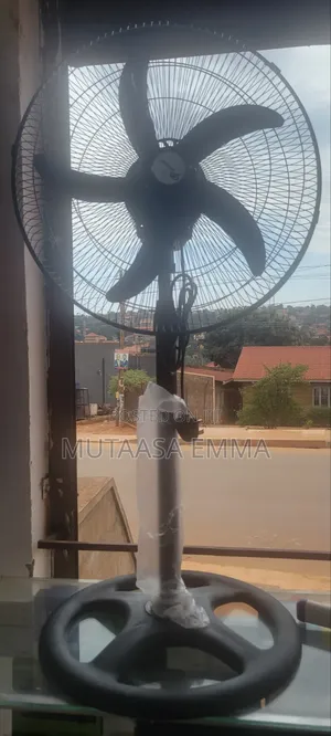 Dp Light Fan