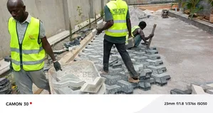 Expert Pavers Installation Services That Make a Statement.