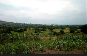 Plot for Sale ,Kasawo Namanoga ,Mukono District