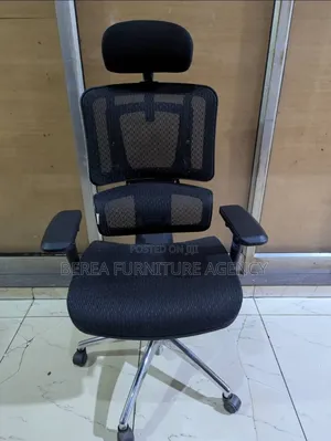 Full Hard Mesh Adjustable High Back Office Chair