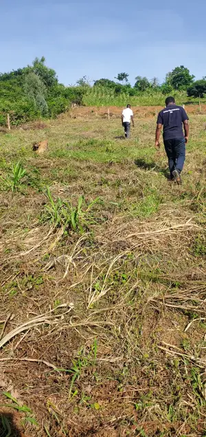 Plot For Sell