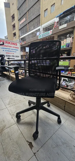 Mesh Transparent Back Office Chair