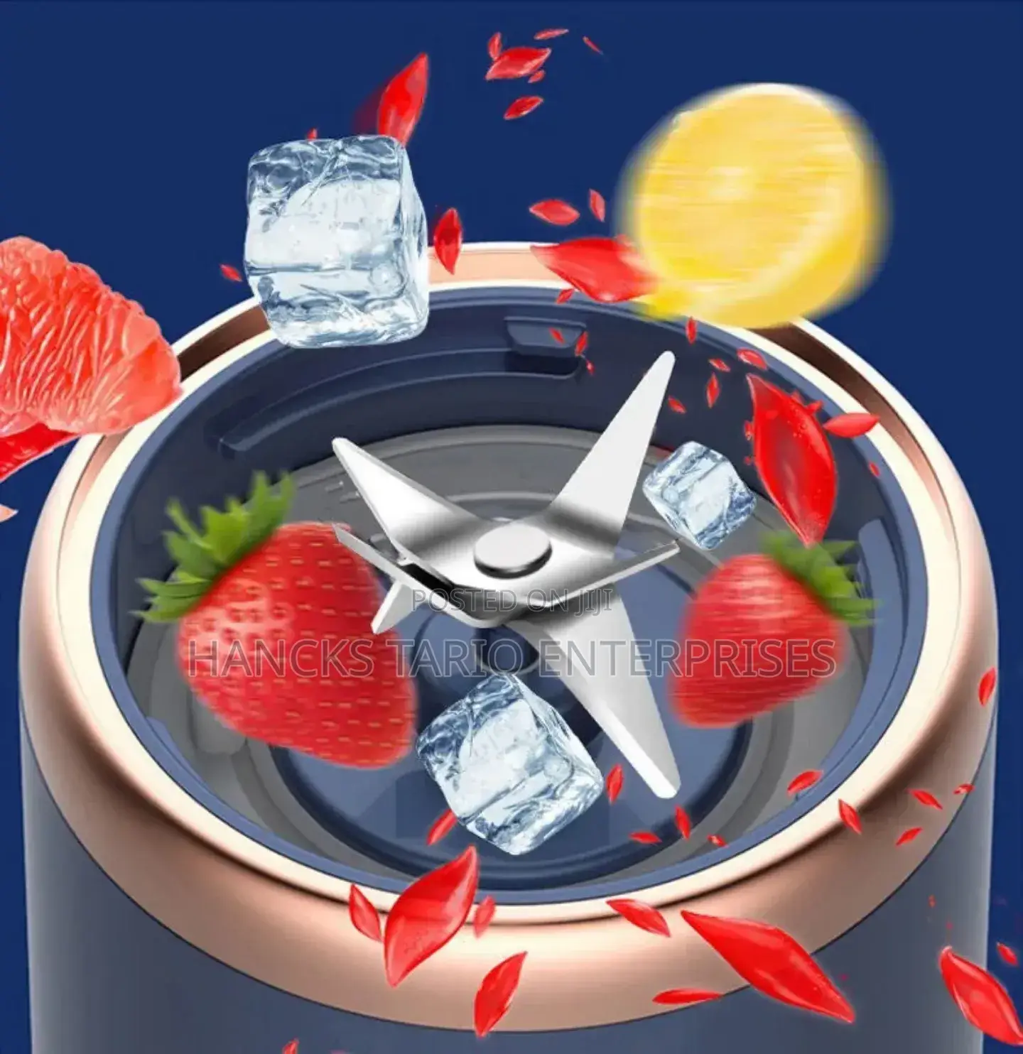 Small Portable Multi-Function Juicer