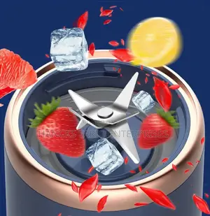 Small Portable Multi-Function Juicer