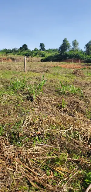 Plot For Sell