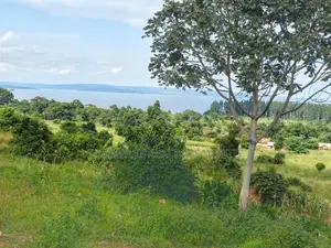  Quick Sale – Lake View Land 