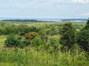 Plot for Sale – Kisubi (Entebbe Road)
