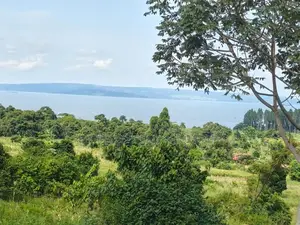 Plot for Sale – Kisubi (Entebbe Road)