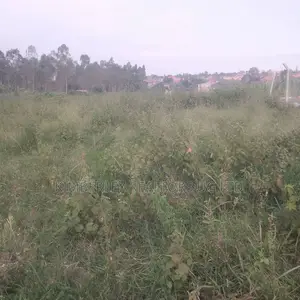 Quick Sale – 2 Plots for Sale