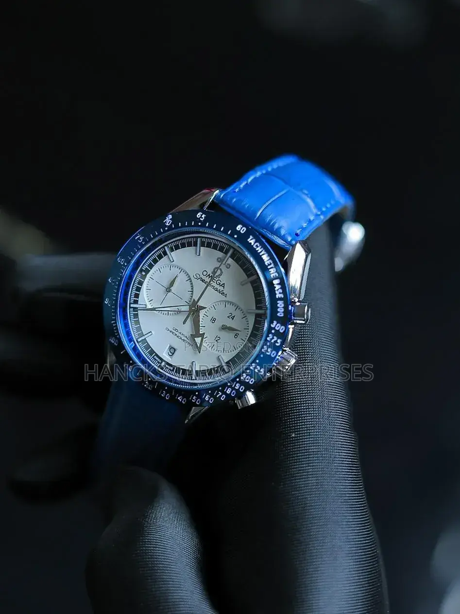 Omega Seamaster Professional
