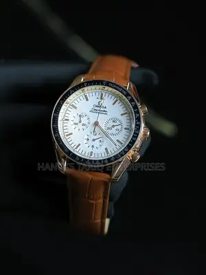 Omega Seamaster Professional