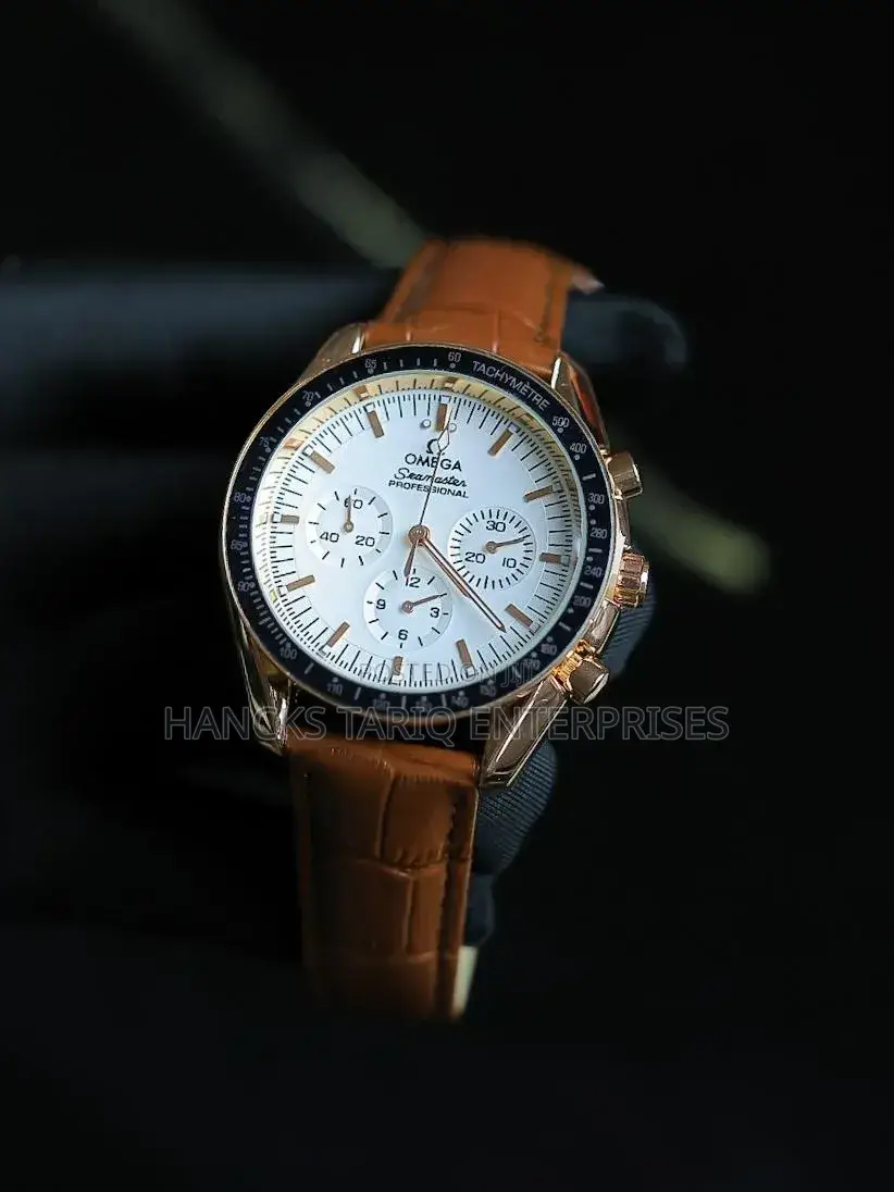 Omega Seamaster Professional
