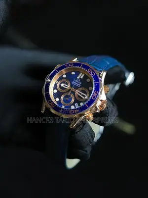 Omega Seamaster Professional