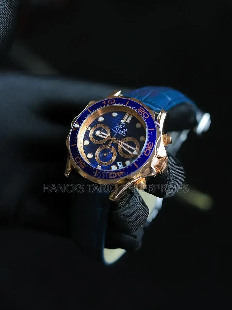 Omega Seamaster Professional