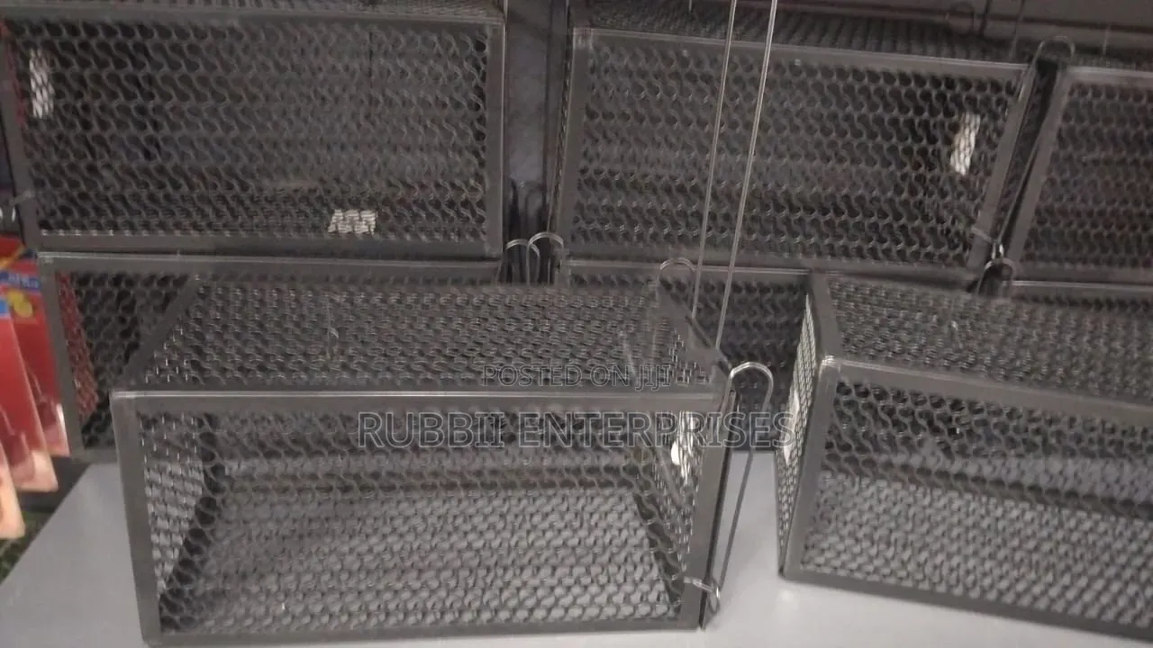 Mouse Trap ~ Rectangular