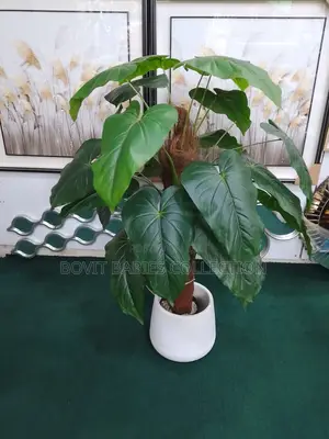 Outdoor Artificial Plant